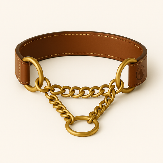 The Durango | Handcrafted Leather Martingale Collar