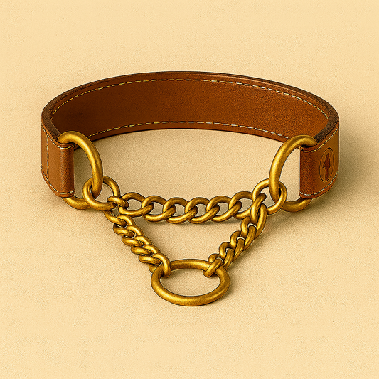The Durango | Handcrafted Leather Martingale Collar